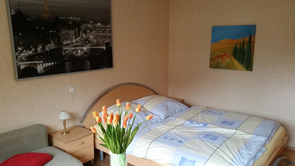 Wellness Apartments Sophienhoehe Am Teich Mechernich Rum bild